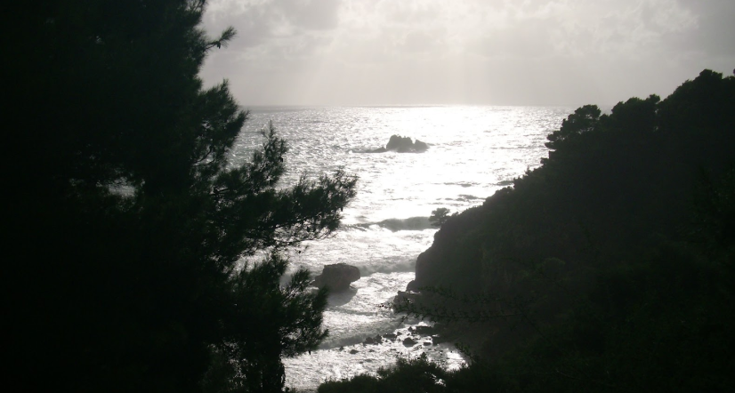 The 20th century died this year, and took my dad